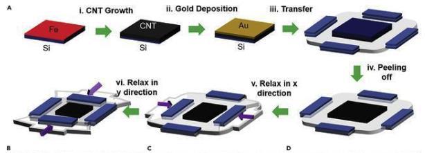 NG大舞台(中国游)相信品牌的实力